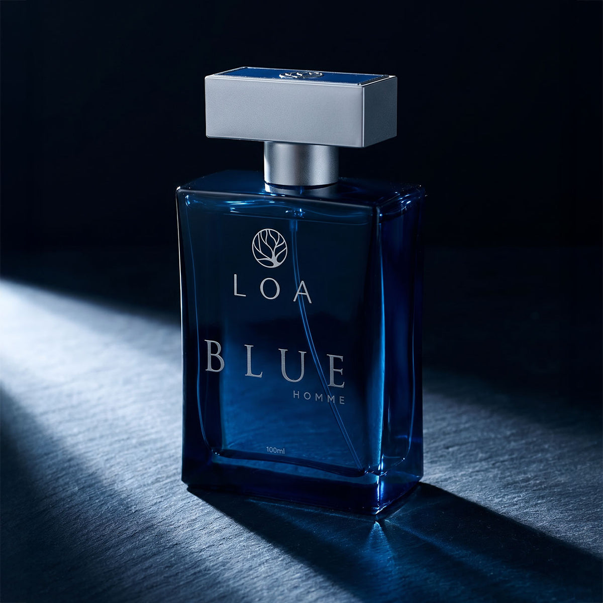 Perfume Masculino Blue Homme LOA® 100 ml – Aromático Cítrico